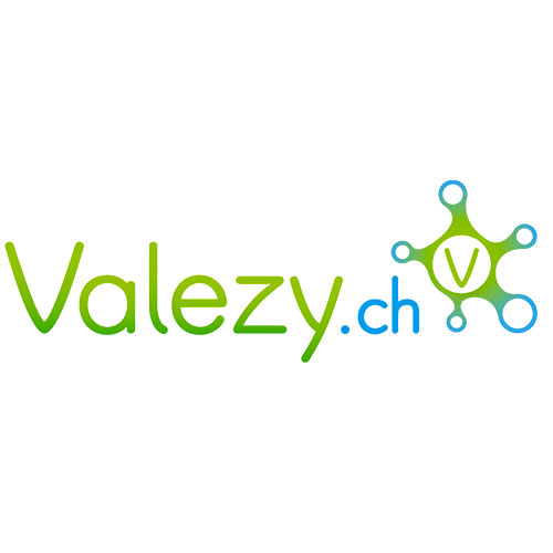 logo5-valezy